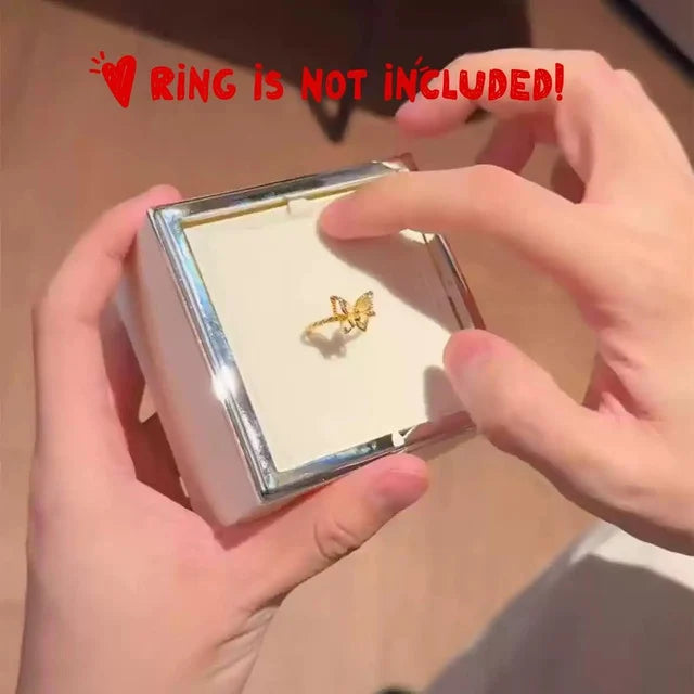 Little Bear Cake Box