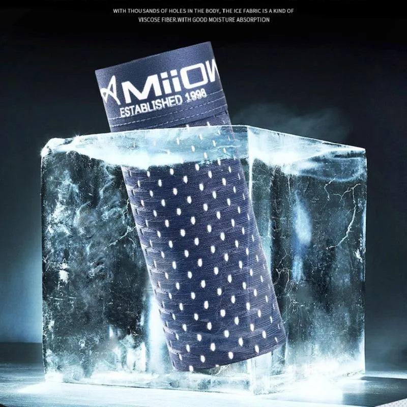 (ππ¦π©π¨π«πππ) Milow (Set of 9) Underwears (Graphene Antibacterial Ice Silk)