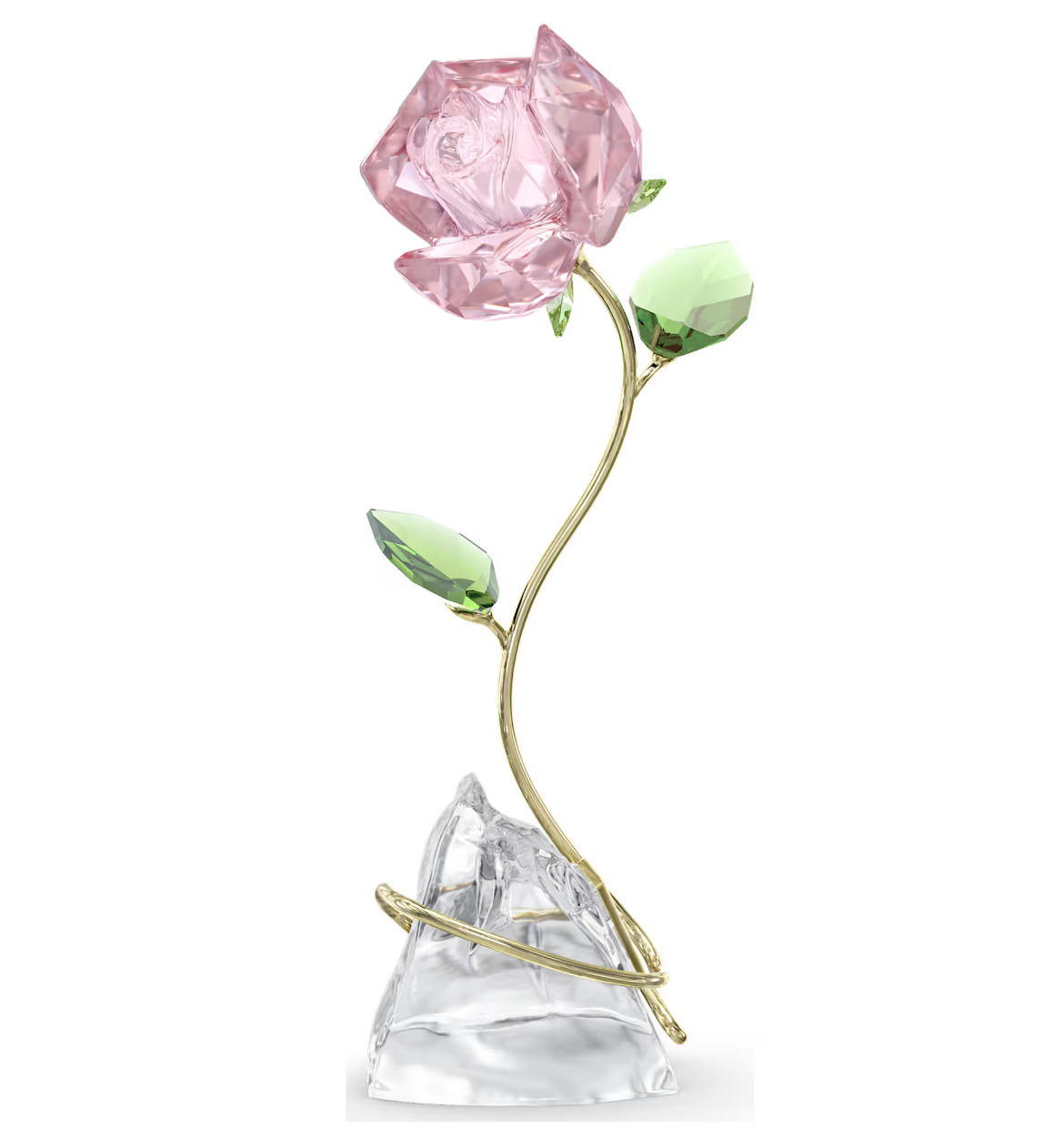 Florere Rose