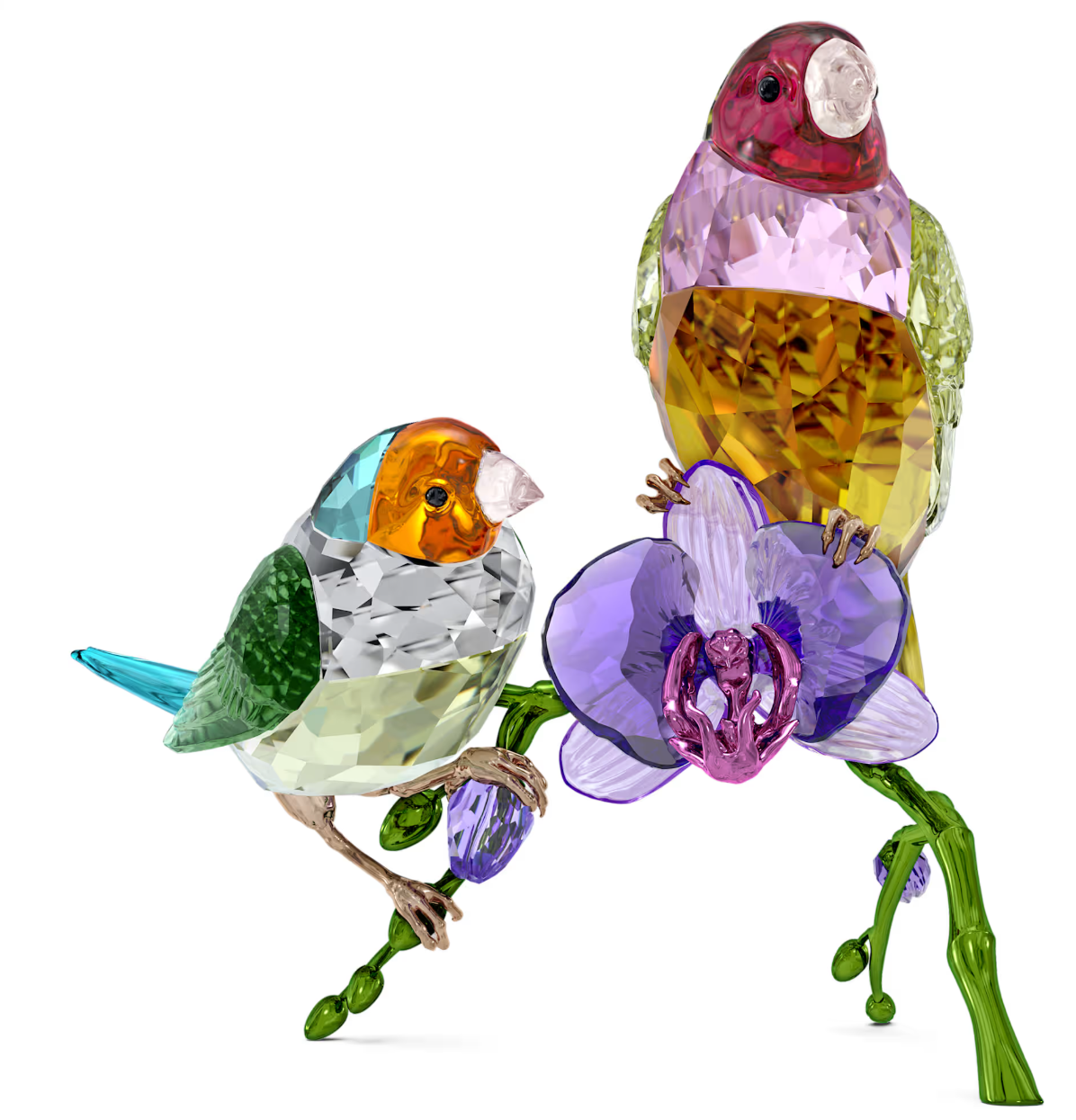 Idyllia SCS Annual Edition 2024 Gouldian Finches