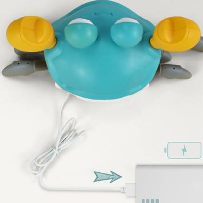 Walking Crab Toy