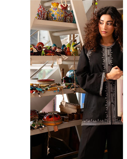 Sleek -Embroidered 2pc Suit