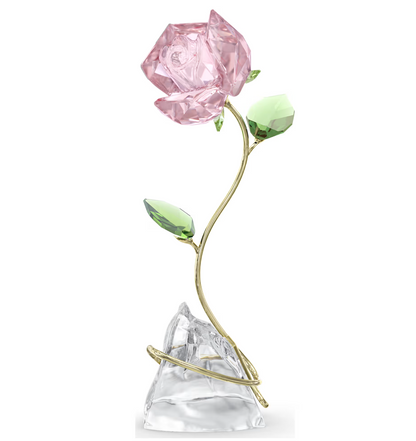 Florere Rose