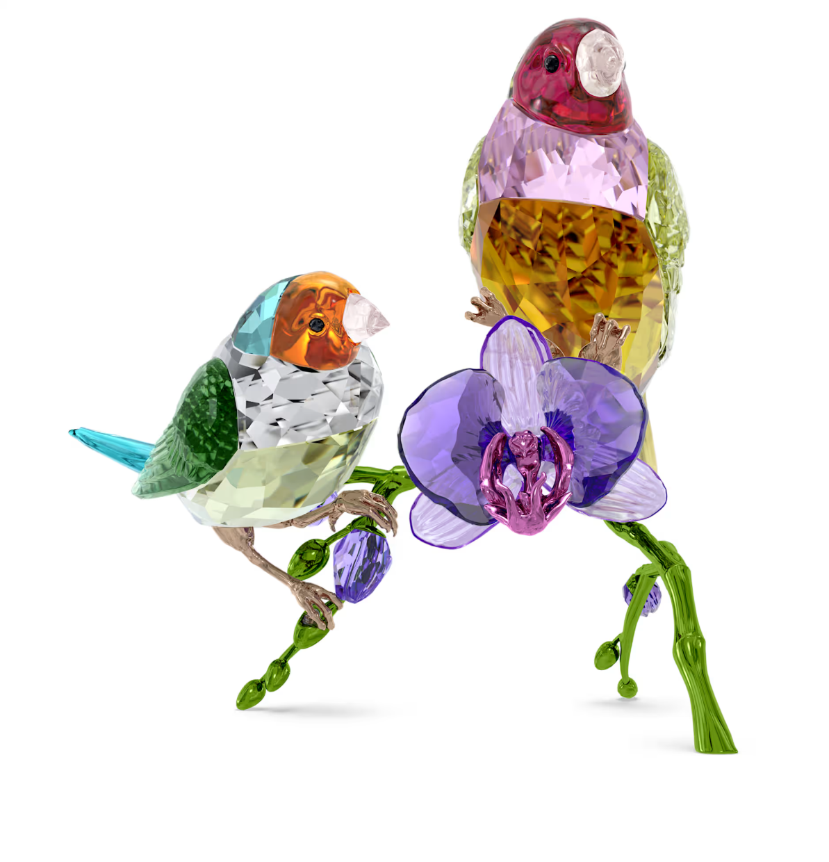 Idyllia SCS Annual Edition 2024 Gouldian Finches