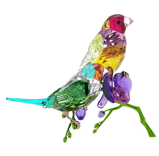 Idyllia SCS Annual Edition 2024 Gouldian Finches